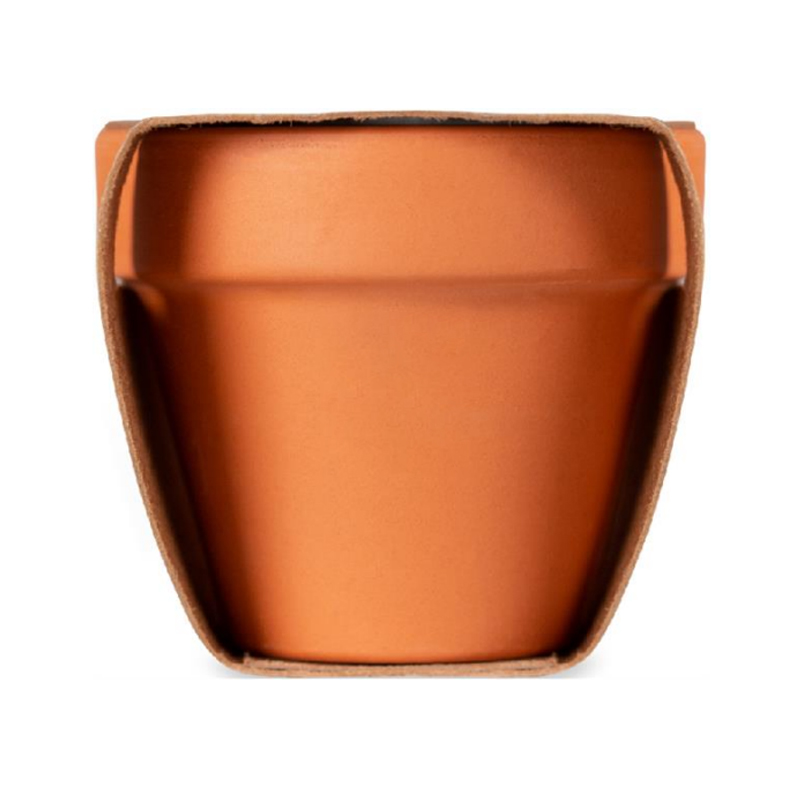 Terracotta pot mint - Image 4
